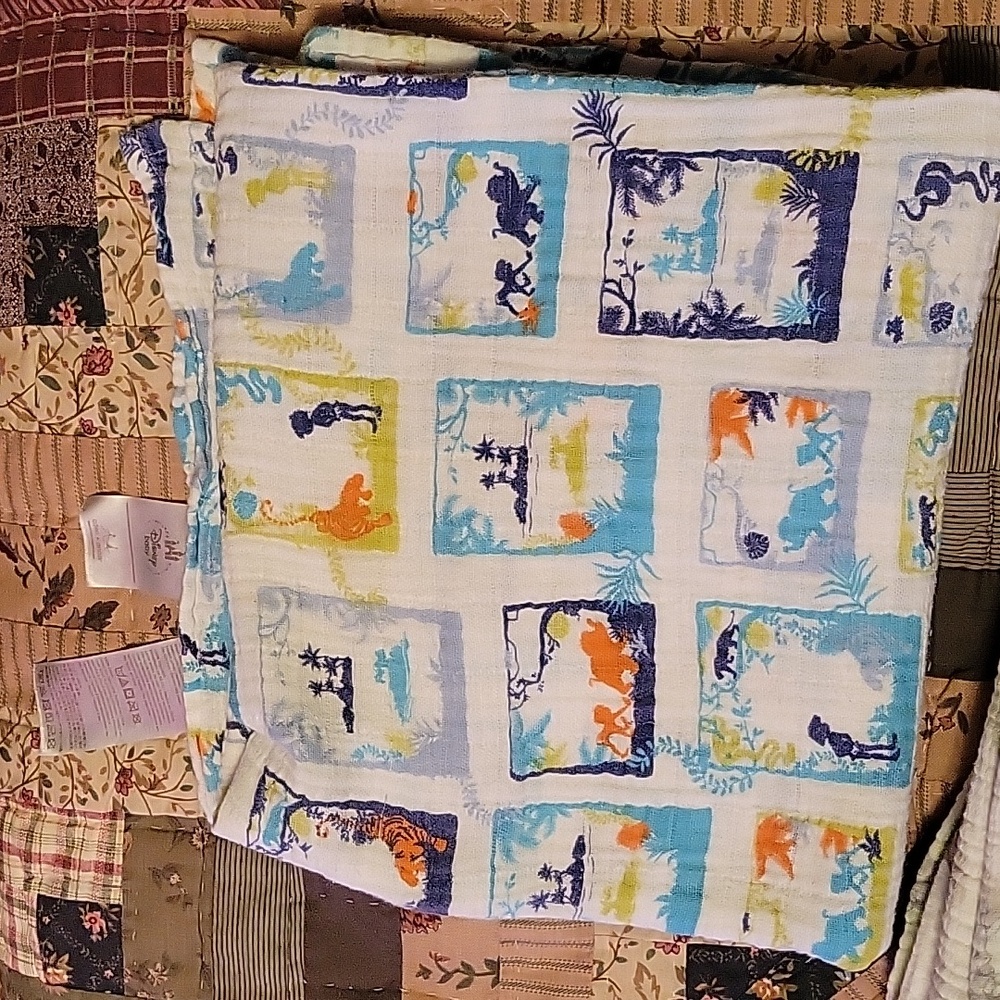 Disney Baby blankets